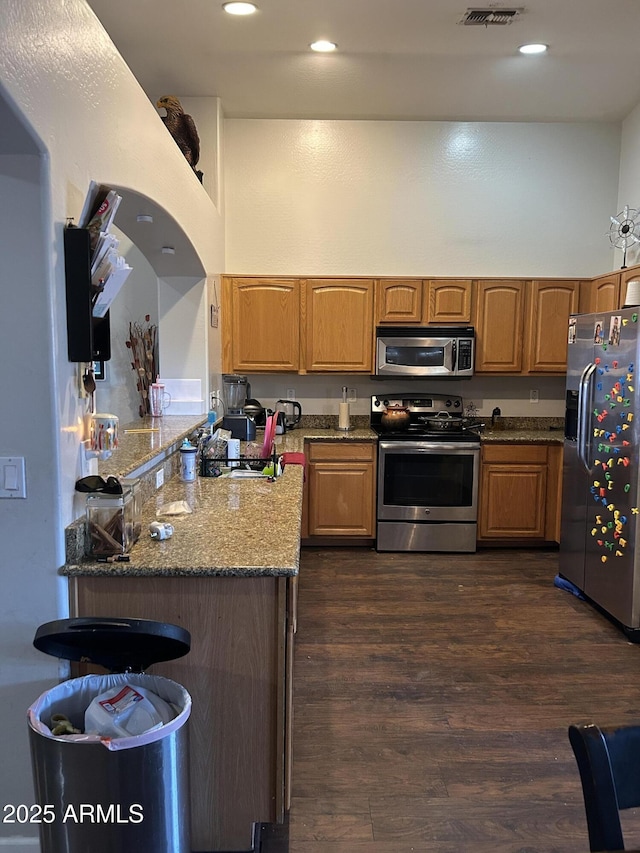 kitchen with dark hardwood / wood-style flooring, light stone counters, stainless steel appliances, sink, and a high ceiling