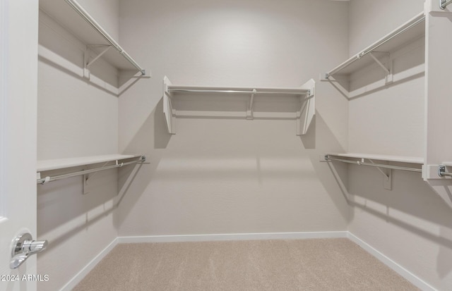 spacious closet with carpet floors