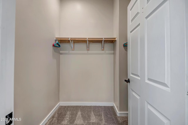 35005 N Central Ave, Phoenix, AZ 85086 - walk in closet with carpet flooring