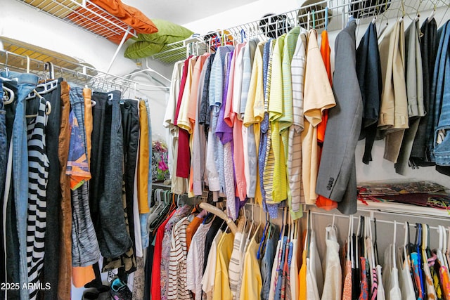 view of spacious closet