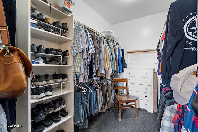 walk in closet with dark colored carpet