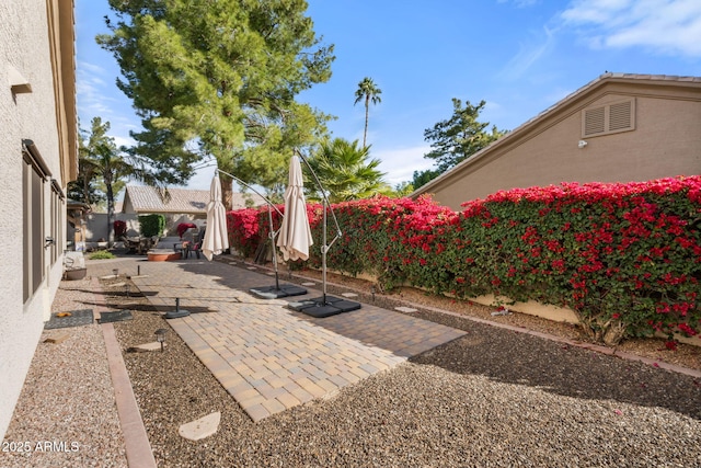 view of yard featuring a patio area