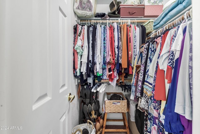 view of walk in closet