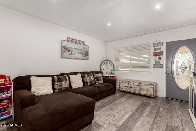 living room with hardwood / wood-style flooring and a wealth of natural light