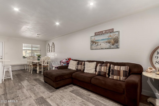 living room featuring light hardwood / wood-style flooring