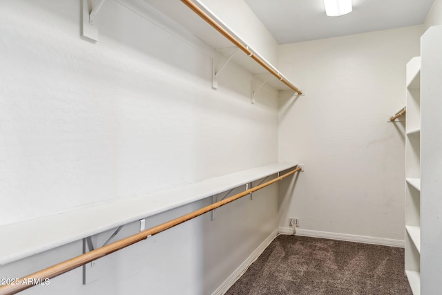 walk in closet with dark carpet
