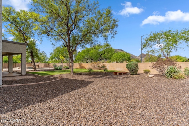 view of yard with a fenced backyard, a patio, and a mountain view