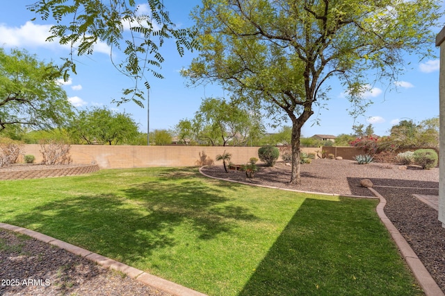 view of yard with a fenced backyard