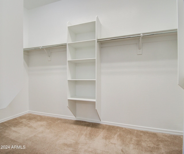 spacious closet featuring light colored carpet