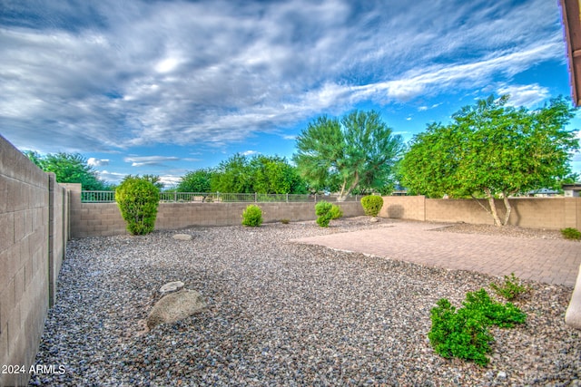 view of yard featuring a patio