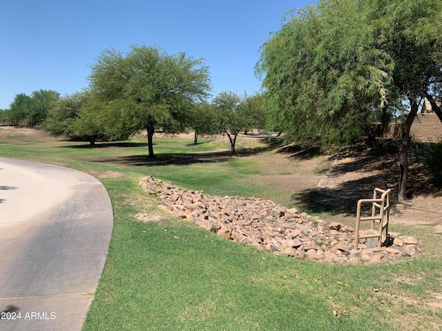 view of community featuring a yard