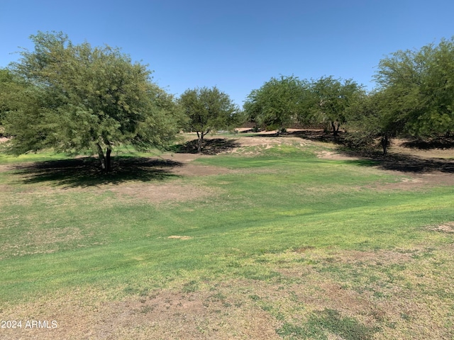 view of yard featuring a rural view