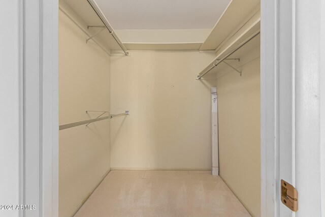 spacious closet featuring light colored carpet