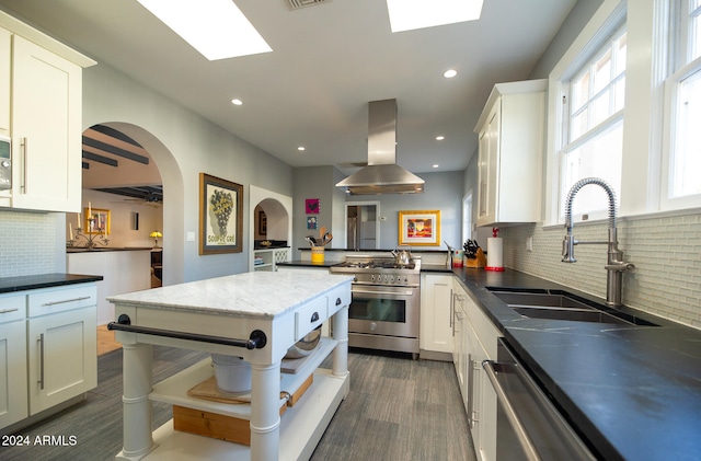 kitchen with sink, exhaust hood, appliances with stainless steel finishes, and white cabinets