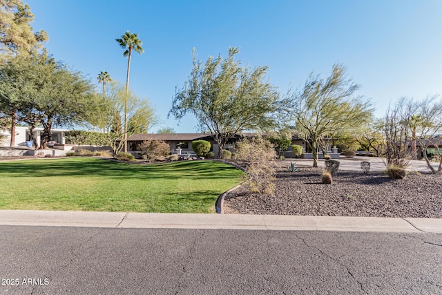 ranch-style house with a front lawn