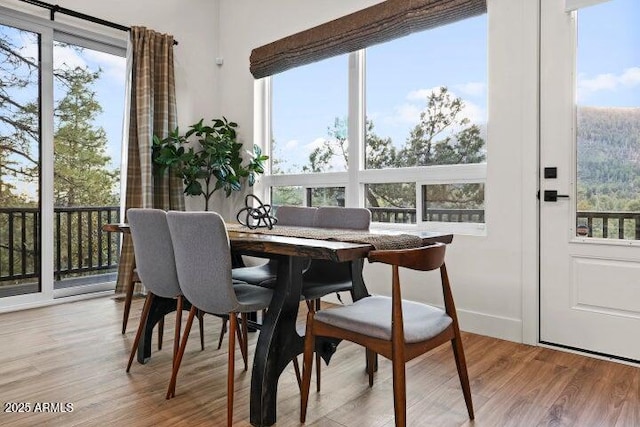 dining room featuring plenty of natural light and light hardwood / wood-style flooring