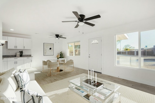 living room with hardwood / wood-style floors and ceiling fan