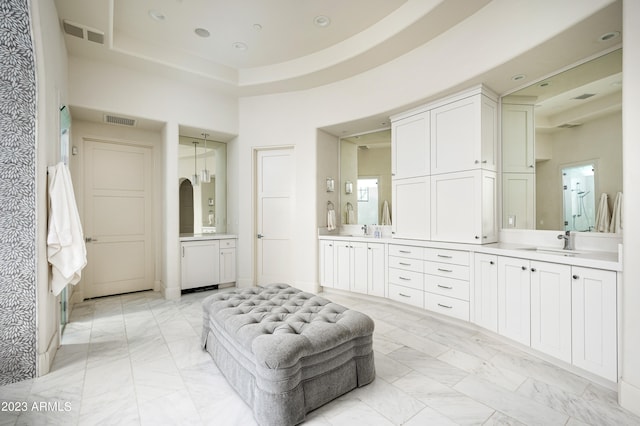 bathroom with a raised ceiling and vanity