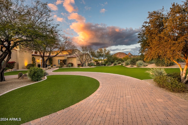 view of community featuring a lawn and a mountain view