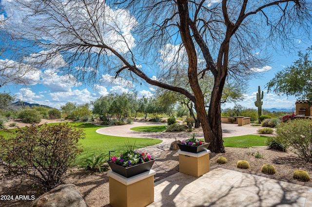 exterior space featuring a yard