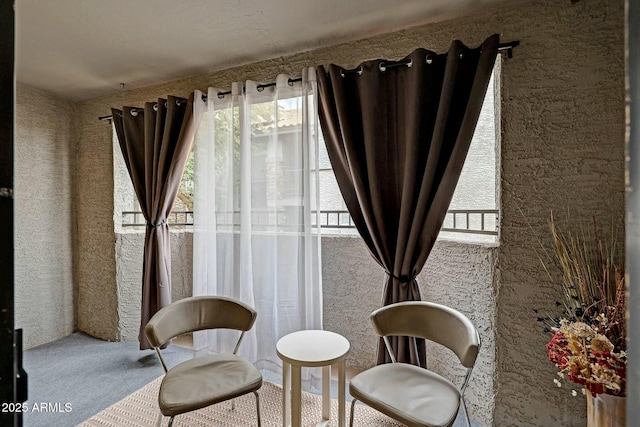 sitting room with carpet floors