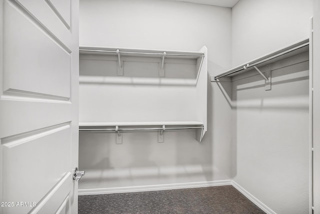 walk in closet with carpet floors