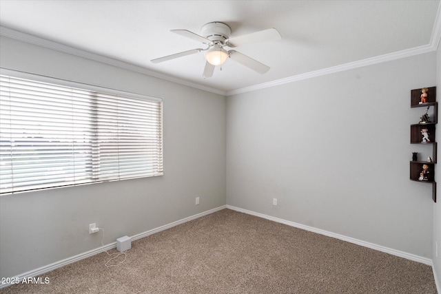 unfurnished room featuring carpet, ceiling fan, and ornamental molding