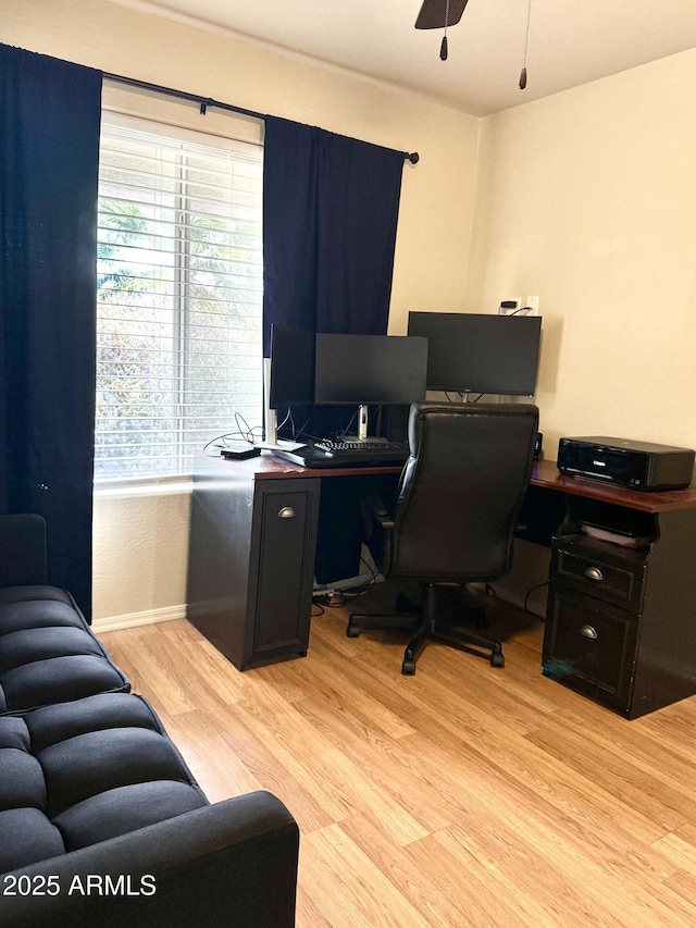 office featuring ceiling fan, baseboards, and light wood-style floors