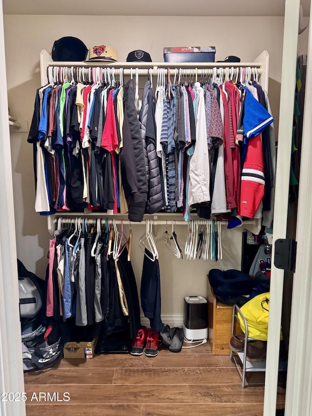 walk in closet featuring wood finished floors