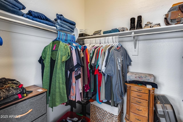 view of spacious closet