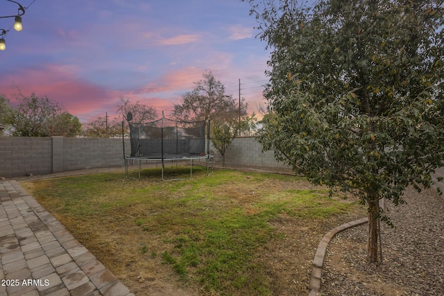 yard at dusk with a trampoline