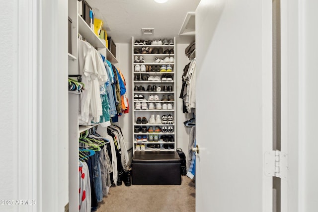 walk in closet featuring light carpet