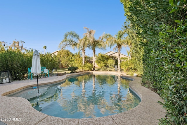 view of pool featuring a patio area