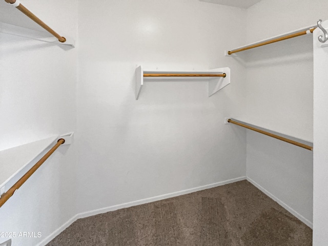 walk in closet featuring carpet flooring