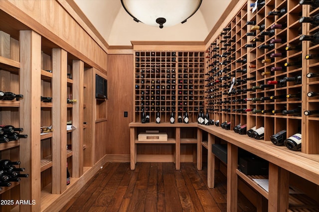 wine area featuring dark hardwood / wood-style floors