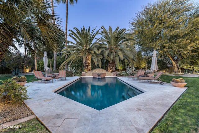 view of pool featuring a patio