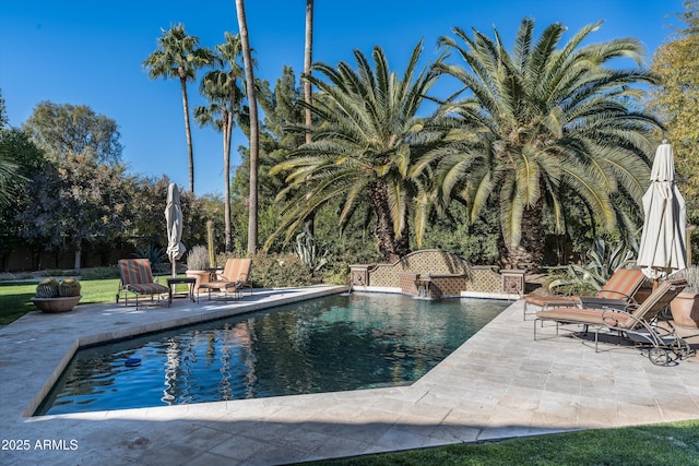 view of pool with a patio