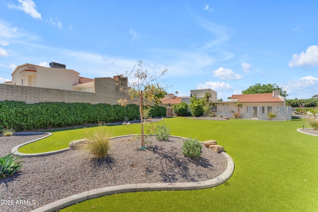 11465 N 56th St, Scottsdale, AZ 85254 - view of green lawn