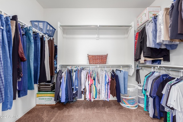 walk in closet featuring carpet