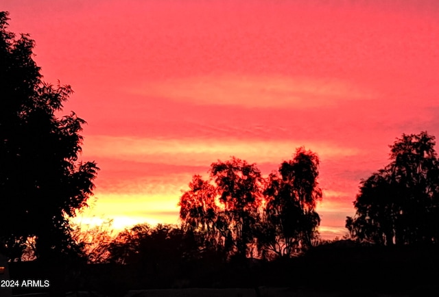 view of nature at dusk