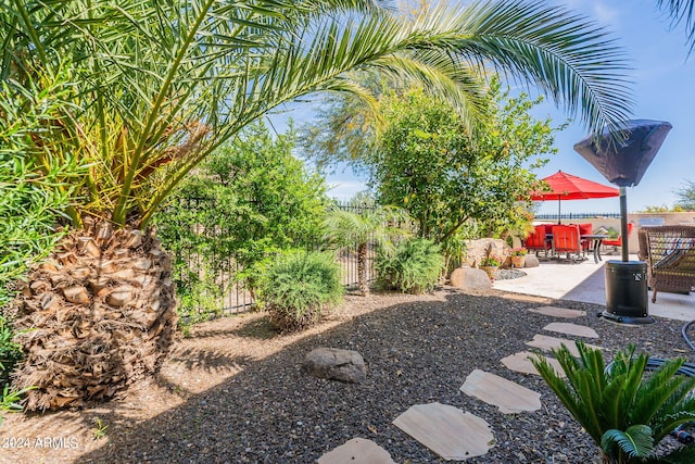 view of yard featuring a patio area