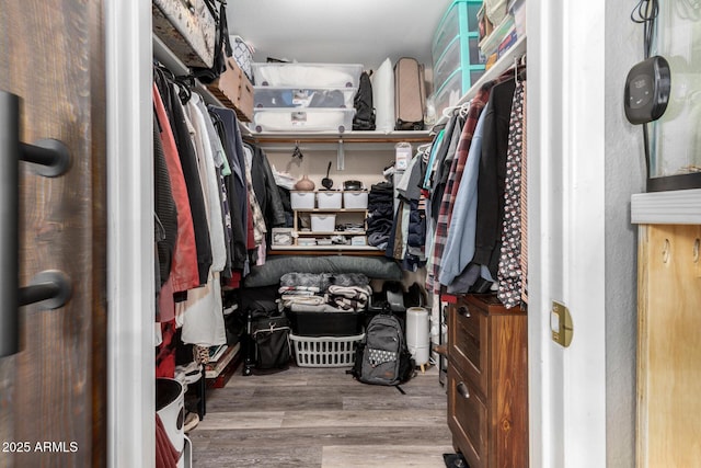 spacious closet featuring wood finished floors