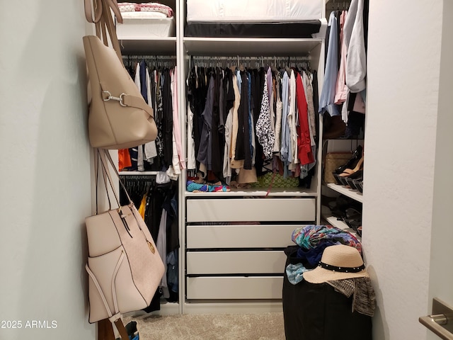 view of spacious closet