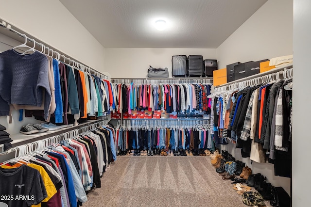 9723 W Patrick Ln, Peoria, AZ 85383 - walk in closet with carpet floors