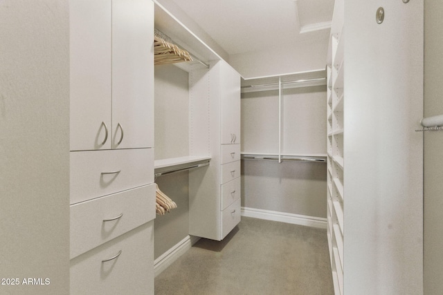 7122 W Ivanhoe St, Chandler, AZ 85226 - spacious closet featuring carpet