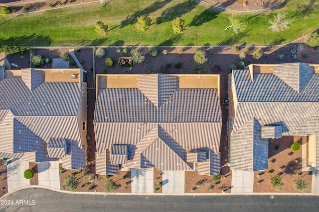 bird's eye view