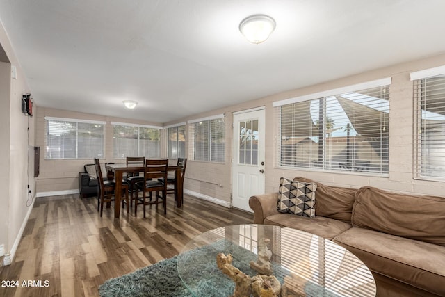 living room with dark hardwood / wood-style floors