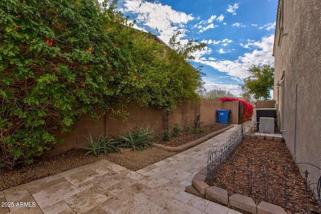 view of yard featuring a patio area