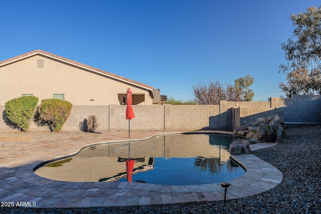 view of pool featuring a patio area