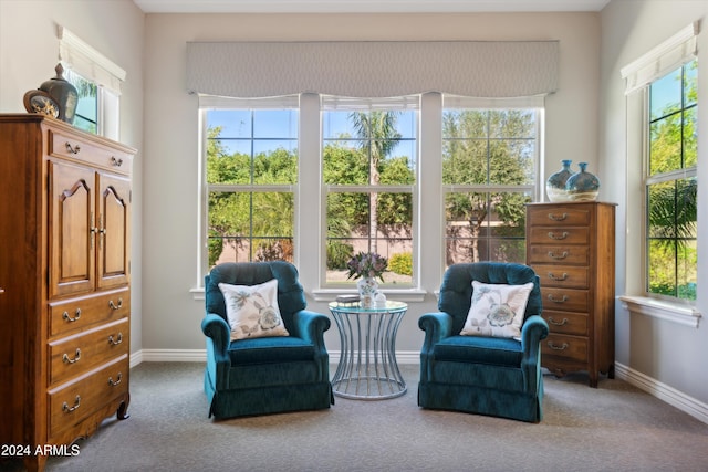 living area with carpet